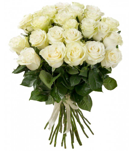 25 սպիտակ վարդերի փունջ